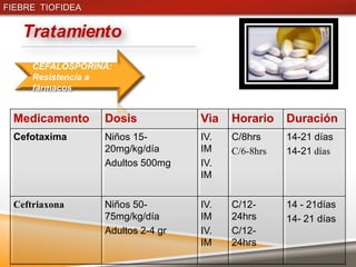 FIEBRE TIOFIDEA


   Tratamiento
     CEFALOSPORINA:
     Resistencia a
     fármacos


 Medicamento      Dosis            Vìa   Horario    Duración
 Cefotaxima       Niños 15-        IV.   C/8hrs     14-21 días
                  20mg/kg/día      IM    C/6-8hrs   14-21 días
                  Adultos 500mg    IV.
                                   IM

 Ceftriaxona      Niños 50-        IV.   C/12-      14 - 21días
                  75mg/kg/día      IM    24hrs      14- 21 días
                  Adultos 2-4 gr   IV.   C/12-
                                   IM    24hrs
 
