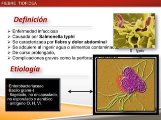 FIEBRE TIOFIDEA



      Definición
     Enfermedad infecciosa
     Causada por Salmonella typhi
     Se caracterizada por fiebre y dolor abdominal
     Se adquiere al ingerir agua o alimentos contaminados
     De curso prolongado,                                   S . typhi
     Complicaciones graves como la perforación intestinal

   Etiología
  •Enterobacteriaceae
  •Bacilo gram(-)
  • flagelado, no encapsulado,
  no esporulado y aeróbico
  • antígeno O, H, Vi.
 