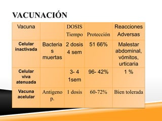 VACUNACIÓN
Vacuna                DOSIS             Reacciones
                      Tiempo Protección Adversas
  Celular    Bacteria 2 dosis   51 66%     Malestar
inactivada      s                         abdominal,
                      4 sem
             muertas                       vómitos,
                                           urticaria
 Celular                3- 4    96- 42%       1%
   viva
atenuada               1sem

 Vacuna      Antigeno 1 dosis   60-72%    Bien tolerada
 acelular       p.
 