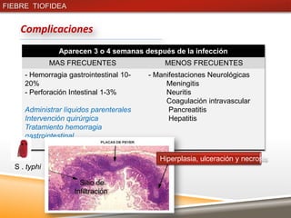 FIEBRE TIOFIDEA


    Complicaciones
                Aparecen 3 o 4 semanas después de la infección
              MAS FRECUENTES                 MENOS FRECUENTES
     - Hemorragia gastrointestinal 10-   - Manifestaciones Neurológicas
     20%                                      Meningitis
     - Perforación Intestinal 1-3%            Neuritis
                                              Coagulación intravascular
     Administrar líquidos parenterales         Pancreatitis
     Intervención quirúrgica                   Hepatitis
     Tratamiento hemorragia
     gastrointestinal


                                            Hiperplasia, ulceración y necrosis
  S . typhi

                      Sitio de
                    Infiltración
 