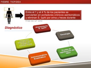 FIEBRE TIOFIDEA



                  Entre el 1 y el 4 % de los pacientes se
                  convierten en portadores crónicos asintomáticos
                  y eliminan S. typhi por orina y heces durante
                  mas de un año

   Diagnóstico
 