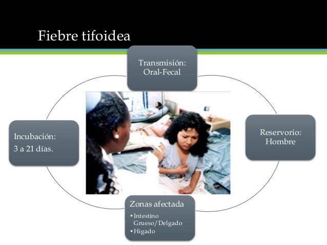 cadena epidemiologica fiebre tifoidea fiebre tifoidea cadena epidemiologica fiebre tifoidea fiebre tifoidea