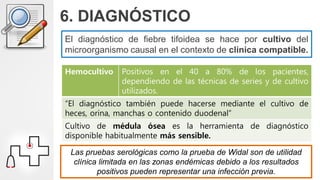 6. DIAGNÓSTICO
El diagnóstico de fiebre tifoidea se hace por cultivo del
microorganismo causal en el contexto de clínica compatible.
Hemocultivo Positivos en el 40 a 80% de los pacientes,
dependiendo de las técnicas de series y de cultivo
utilizados.
“El diagnóstico también puede hacerse mediante el cultivo de
heces, orina, manchas o contenido duodenal”
Cultivo de médula ósea es la herramienta de diagnóstico
disponible habitualmente más sensible.
Las pruebas serológicas como la prueba de Widal son de utilidad
clínica limitada en las zonas endémicas debido a los resultados
positivos pueden representar una infección previa.
 