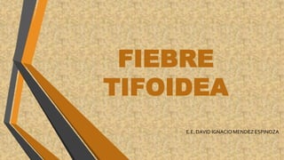 FIEBRE
TIFOIDEA
E.E. DAVID IGNACIO MENDEZ ESPINOZA
 