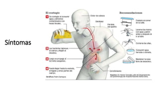 Síntomas