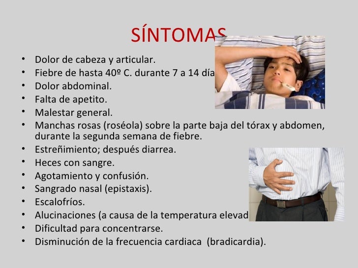 cadena epidemiologica fiebre tifoidea fiebre tifoidea cadena epidemiologica fiebre tifoidea fiebre tifoidea