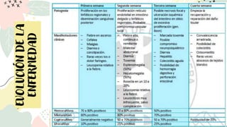 EVOLUCIÓN
DE
LA
ENFERMEDAD
 