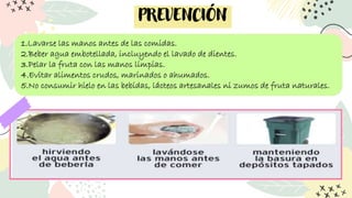 PREVENCIÓN
1.Lavarse las manos antes de las comidas.
2.Beber agua embotellada, incluyendo el lavado de dientes.
3.Pelar la fruta con las manos limpias.
4.Evitar alimentos crudos, marinados o ahumados.
5.No consumir hielo en las bebidas, lácteos artesanales ni zumos de fruta naturales.
 