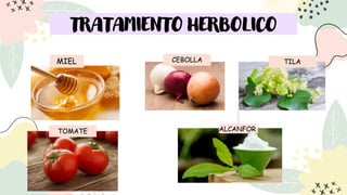 TRATAMIENTO HERBOLICO
MIEL
TOMATE
CEBOLLA TILA
ALCANFOR
 