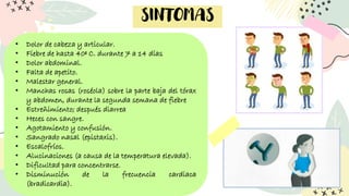 SINTOMAS
• Dolor de cabeza y articular.
• Fiebre de hasta 40º C. durante 7 a 14 días
• Dolor abdominal.
• Falta de apetito.
• Malestar general.
• Manchas rosas (roséola) sobre la parte baja del tórax
y abdomen, durante la segunda semana de fiebre
• Estreñimiento; después diarrea
• Heces con sangre.
• Agotamiento y confusión.
• Sangrado nasal (epistaxis).
• Escalofríos.
• Alucinaciones (a causa de la temperatura elevada).
• Dificultad para concentrarse.
• Disminución de la frecuencia cardiaca
(bradicardia).
 