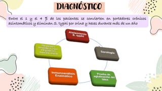 DIAGNÓSTICO
Entre el 1 y el 4 % de los pacientes se convierten en portadores crónicos
asintomáticos y eliminan S. typhi por orina y heces durante más de un año
 