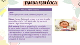 TRIADA ECOLÓGICA
 