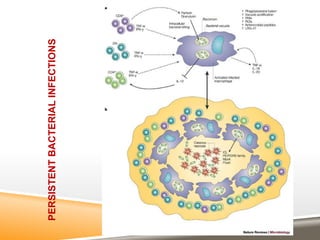 PERSISTENTBACTERIALINFECTIONS
 