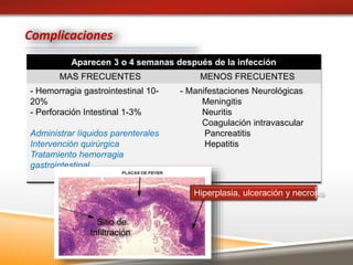 Aparecen 3 o 4 semanas después de la infección
MAS FRECUENTES MENOS FRECUENTES
- Hemorragia gastrointestinal 10-
20%
- Perforación Intestinal 1-3%
Administrar líquidos parenterales
Intervención quirúrgica
Tratamiento hemorragia
gastrointestinal
- Manifestaciones Neurológicas
Meningitis
Neuritis
Coagulación intravascular
Pancreatitis
Hepatitis
Complicaciones
Hiperplasia, ulceración y necrosis
Sitio de
Infiltración
 