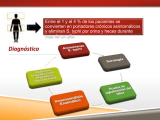 Diagnóstico
Entre el 1 y el 4 % de los pacientes se
convierten en portadores crónicos asintomáticos
y eliminan S. typhi por orina y heces durante
mas de un año
 