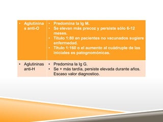 • Aglutinina
s anti-O
• Predomina la Ig M.
• Se elevan más precoz y persiste sólo 6-12
meses.
• Título 1:80 en pacientes no vacunados sugiere
enfermedad.
• Titulo 1:160 o el aumento al cuádruple de las
iniciales es patognomónicas.
• Aglutininas
anti-H
• Predomina la Ig G.
• Se + más tardía, persiste elevada durante años.
Escaso valor diagnostico.
 