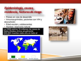 • Países en vías de desarrollo
• Inmunosuprimidos, pacientes con VIH y
desnutrición
• Edad escolar y adolescentes
• Hombre: reservorio natural
La OMS estima 16 millones de casos de
fiebre tifoidea clínica anualmente
600,000 muertes cada año en todo el
mundo.
Epidemiología, causas,
incidencia, factoresde riesgo
 