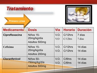 Tratamiento
Medicamento Dosis Vìa Horario Duración
Ciprofloxacina Niños 15-
20mg/kg/día
Adultos 500mg
V.O.
V.O
C/12hrs
C/12hrs
7 días
7 días
Cefixima Niños 15-
20mg/kg/día
Adultos 200mg
V.O.
V.O.
C/12hrs
C/12hrs
14 días
14 días
Cloranfenicol Niños 50-
750mg/kg/día
Adultos 500mg
V.O.
V.O.
C/6hrs
C/6hrs
14 días
14 días
Primera Línea
 