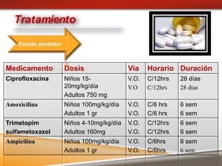 Tratamiento
Medicamento Dosis Vìa Horario Duración
Ciprofloxacina Niños 15-
20mg/kg/día
Adultos 750 mg
V.O.
V.O
C/12hrs
C/12hrs
28 días
28 días
Amoxicilina Niños 100mg/kg/día
Adultos 1 gr
V.O.
V.O.
C/6 hrs
C/6 hrs
6 sem
6 sem
Trimetopim
sulfametoxazol
Niños 4-10mg/kg/día
Adultos 160mg
V.O.
V.O.
C/12hrs
C/12hrs
6 sem
6 sem
Ampicilina Niños 100mg/kg/día
Adultos 1 gr
V.O.
V.O.
C/6hrs
C/6hrs
6 sem
6 sem
Estado portador
 