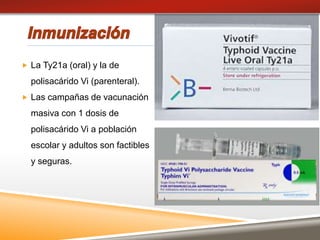  La Ty21a (oral) y la de
polisacárido Vi (parenteral).
 Las campañas de vacunación
masiva con 1 dosis de
polisacárido Vi a población
escolar y adultos son factibles
y seguras.
 