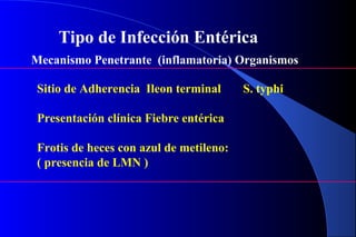 Mecanismo Penetrante (inflamatoria) Organismos
Tipo de Infección Entérica
Sitio de Adherencia Ileon terminal
Presentación clínica Fiebre entérica
Frotis de heces con azul de metileno:
( presencia de LMN )
S. typhi
 