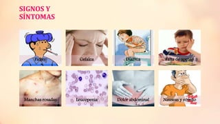 SIGNOS Y
SÍNTOMAS
Fiebre Cefalea Diarrea Falta de apetito
Manchas rosadas Leucopenia Dolor abdominal Nauseas y vómito
 