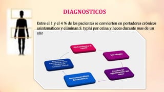 DIAGNOSTICOS
Entre el 1 y el 4 % de los pacientes se convierten en portadores crónicos
asintomáticos y eliminan S. typhi por orina y heces durante mas de un
año
 