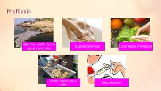 Medidas sanitarias de
aguas residuales
Higiene personal Lavar frutas y verduras
Evitar comer en la
calle
Inmunización
Profilaxis
 