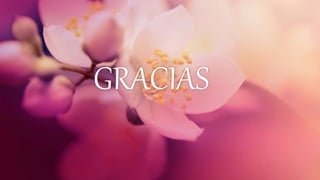 GRACIAS
 