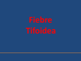 Fiebre
Tifoidea
 