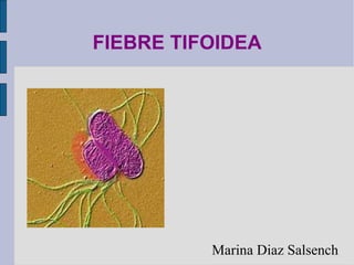 FIEBRE TIFOIDEA Marina Diaz Salsench 
