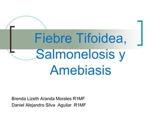 Brenda Lizeth Aranda Morales R1MF
Daniel Alejandro Silva Aguilar R1MF
Fiebre Tifoidea,
Salmonelosis y
Amebiasis
 