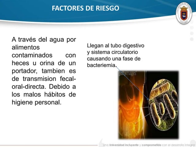 Fiebre tifoidea y paratifoidea