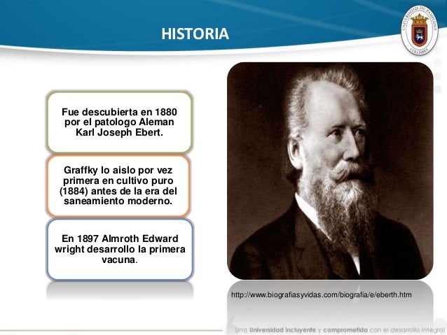 Fiebre tifoidea y paratifoidea