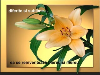 diferite si sublime … ea se reinventează mereu si mereu 