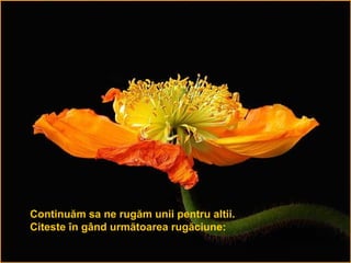 Continuăm sa ne rugăm unii pentru altii. Citeste în gând următoarea rugăciune: 