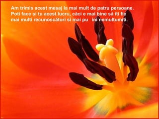 Am trimis acest mesaj la mai mult de patru persoane. Poti face si tu acest lucru, căci e mai bine să îti fie  mai multi recunoscători si mai puțini nemultumiti. 
