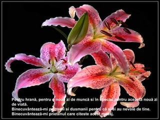 Pentru hrană, pentru o nouă zi de muncă si în special pentru această nouă zi  de viată. Binecuvântează-mi prietenii si dusmanii pentru că si ei au nevoie de tine. Binecuvântează-mi prietenul care citeste acest mesaj.  