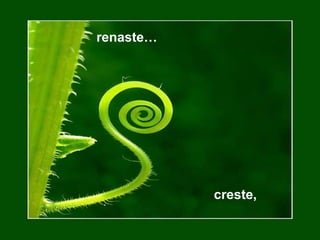 renaste …  creste , 