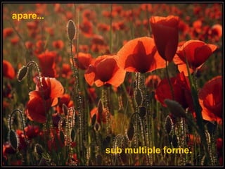apare ...   sub multiple forme . 