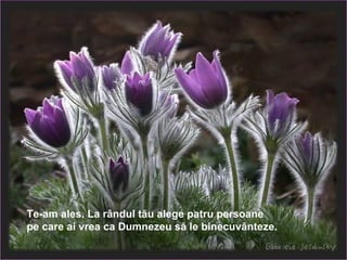 Te-am ales. La rândul tău alege patru persoane pe care ai vrea ca Dumnezeu să le binecuvânteze.   