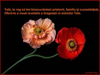 Tată, te rog să îmi binecuvântezi prietenii, familia și cunostințele. Oferă-le o nouă revelatie a dragostei si măretiei Tale. 