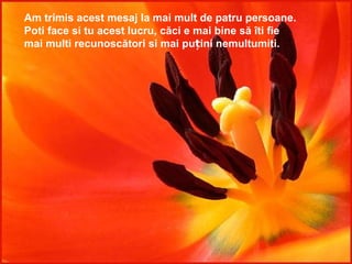 Am trimis acest mesaj la mai mult de patru persoane. Poti face si tu acest lucru, căci e mai bine să îti fie  mai multi recunoscători si mai puțini nemultumiti. 