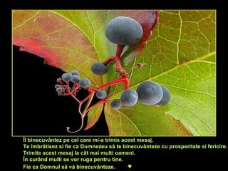 Îl binecuvântez pe cel care mi-a trimis acest mesaj. Te îmbrătisez si fie ca Dumnezeu să te binecuvânteze cu prosperitate si fericire. Trim i te acest mesaj la cât mai multi oameni. În curând multi se vor ruga pentru tine. Fie ca Domnul să vă binecuvânteze.   ♥ 