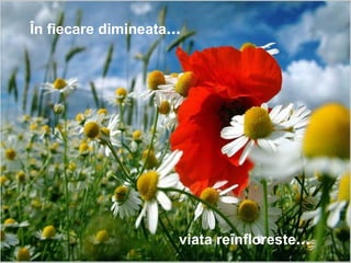viata reînfloreste ... În fiecare dimineata ... 