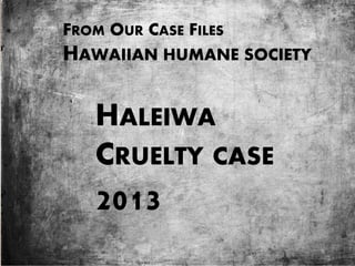 FROM OUR CASE FILES
HAWAIIAN HUMANE SOCIETY
HALEIWA
CRUELTY CASE
2013
 