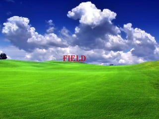 field
 