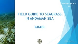 FIELD GUIDE TO SEAGRASS
IN ANDAMAN SEA
KRABI
SEAGONG PROJECT
2021
By Green Guardians
AUTHOR: Guillaume Lebout
 