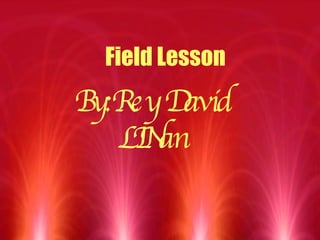 Field Lesson By:Rey David LINan 