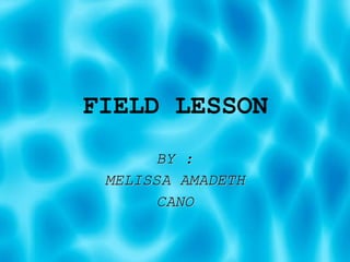 FIELD LESSON BY : MELISSA AMADETH CANO 